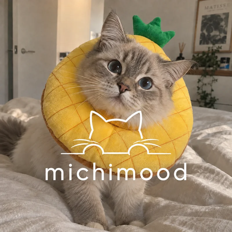 Michimood — brand Skopos has worked with